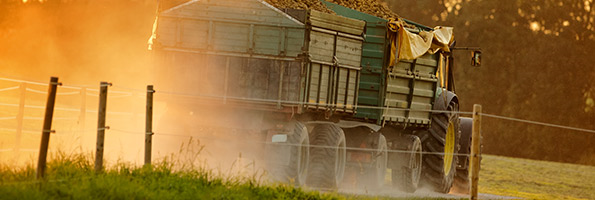 banner1.jpg